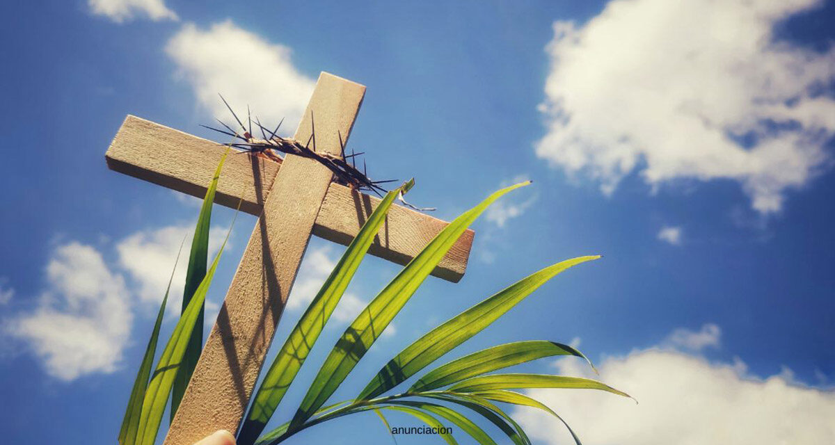 Semana Santa Guatemala + Zoo + Paseo Cayalá – Stofella