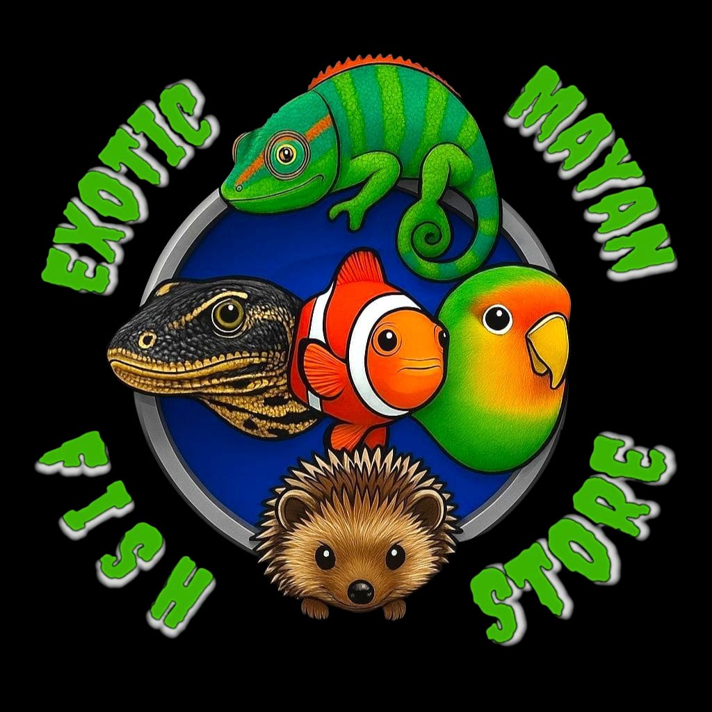 Exotic Mayan Fish Store